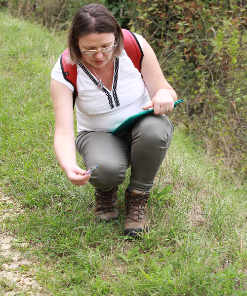 Cueillette découverte reconnaissance plantes sauvages comestibles botanique sortie balade Ain Rhône-Alpes Lyon