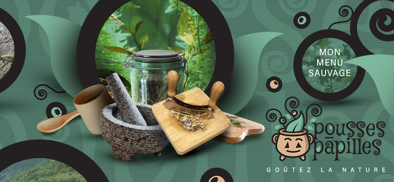 Mon menu sauvage