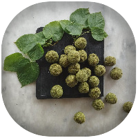 Mon menu sauvage - août 2026