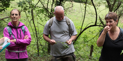 balade plantes sauvages forêt découverte sens sensorielle goût toucher odorat cueillette